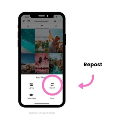 How to Save Instagram Video to Camera Roll: A Journey Through Digital Preservation and Beyond